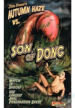 Autumn Haze vs. Son of Dong cover