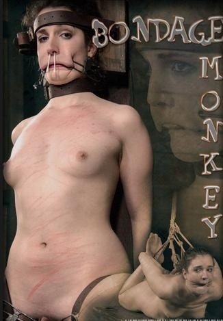 Bondage Monkey Part 2 cover