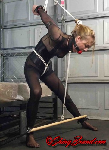 SBound - Star Nine.. Spreader Bar Strappado cover