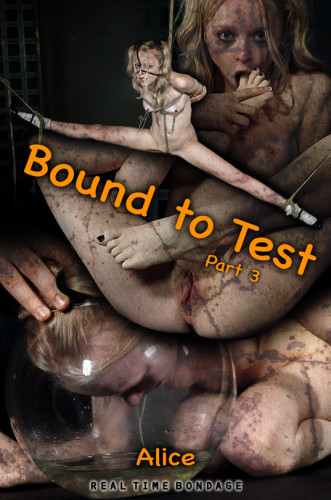 Alice - Bound to Test Part 3 (2019) cover