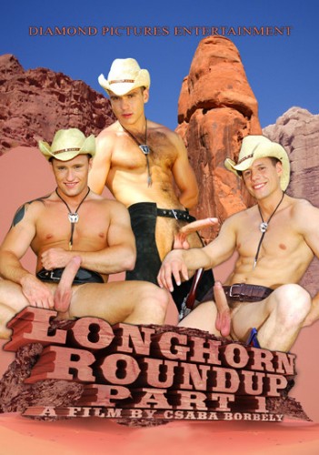 Longhorn Roundup Part 1 cover