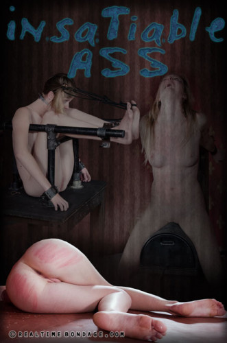 Insatiable Ass Part 3 , Ashley Lane cover