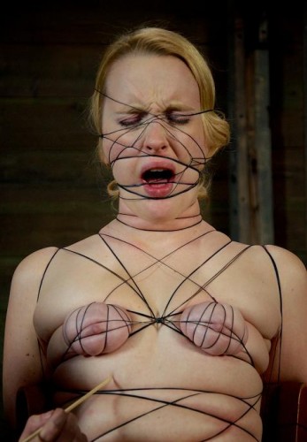 BDSM Web cover
