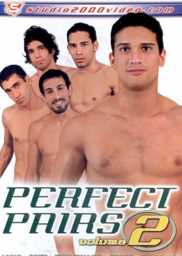 Perfect Pairs 2 cover
