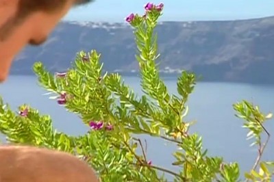 [Pacific Sun Entertainment] Muscular Anal Sex Happens On A Hot Carribean Island