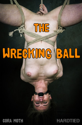 The Wrecking Ball cover