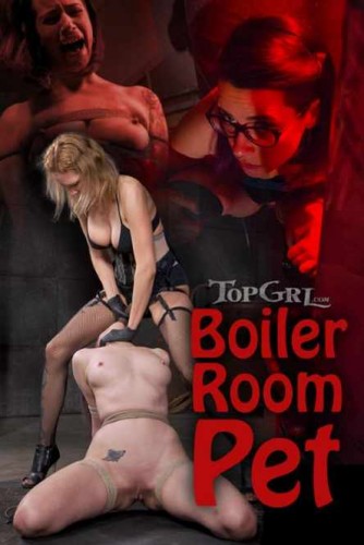Boiler Room Pet cover