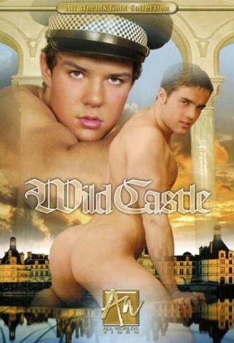 Wild Castle cover
