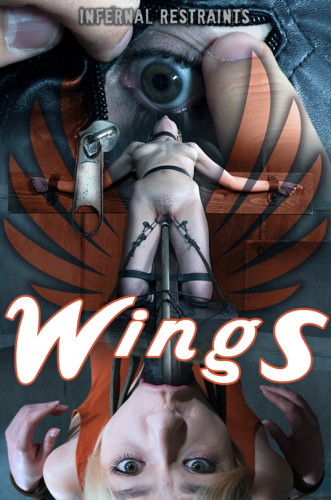 Wings Sailor Luna cover