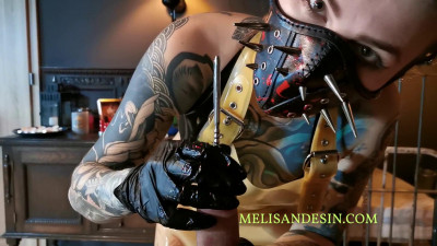 Femdom Collections of Miss Melisande Sin & Lady Perse cover