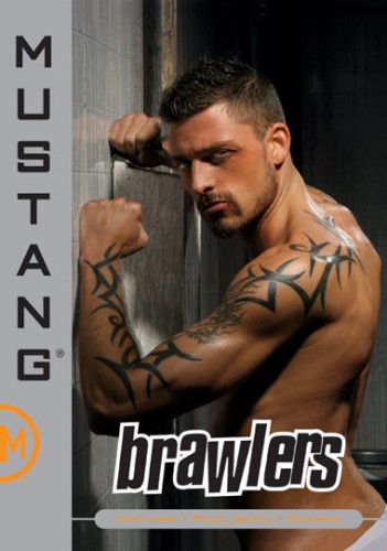 Brawlers cover