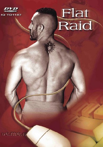 Flat Raid cover