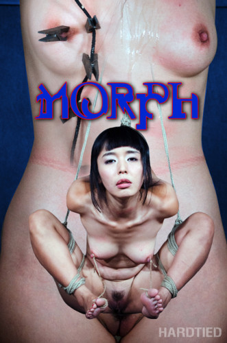 Morph- Marica Hase cover