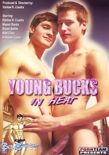 Young Bucks In Heat cover