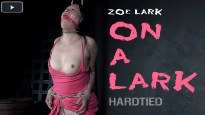 On A Lark cover