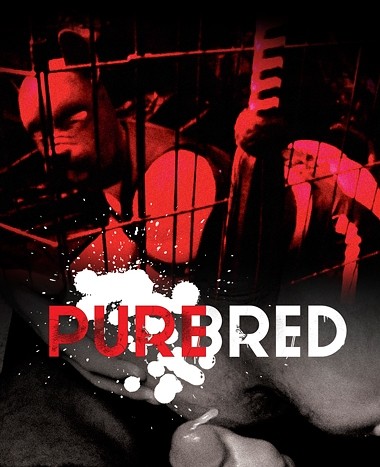 Pure Bred cover