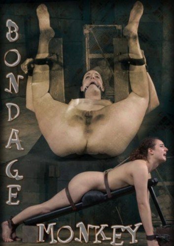 Bondage Monkey Part 3 cover