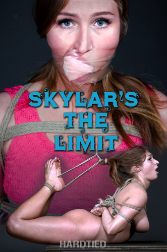 Skylar's The Limit cover