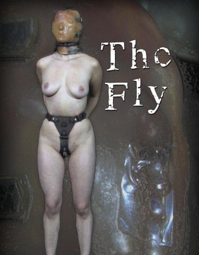 The Fly cover