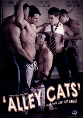 Alley Cats cover