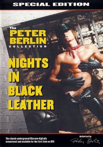 Nights In Black Leather cover