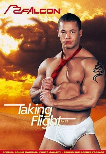 Taking Flight Vol. 2 cover