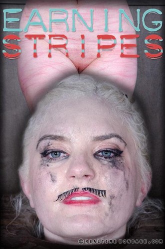 Earning Stripes Part 2 cover