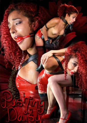 Daisy Ducati cover