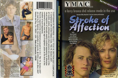 Stroke Of Affection (1992) - Billy Houston, Mickey Schroeder, Kevin Knight cover