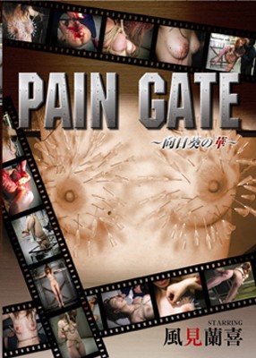 Scrum - Pain Gate cover