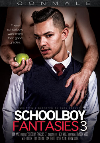 Schoolboy Fantasies vol.3 cover