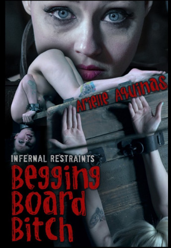 Begging Board Bitch - Arielle Aquinas cover