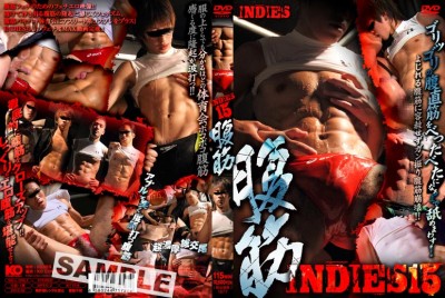 Indies 15 cover