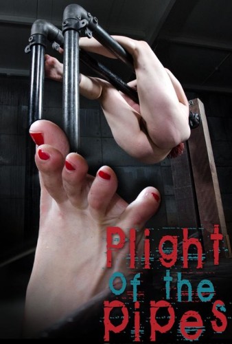 Plight of the Pipes cover