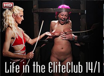Life in the Elite Club 14 part 1 cover