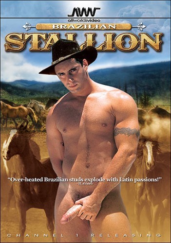 Brazilian Stallion cover