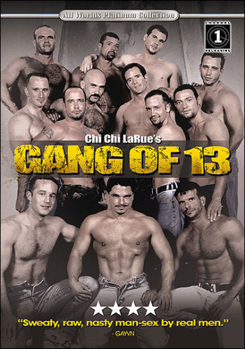 Gang of 13 cover