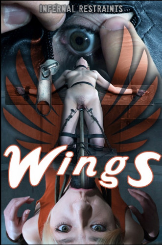 IR - Wings