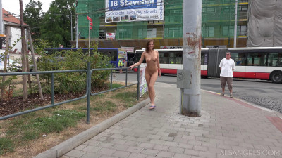 Public nudity cover