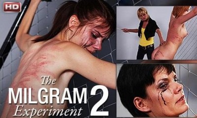 The Milgram Experiment 2 cover