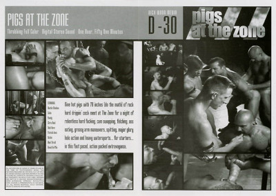 Pigs At The Zone cover