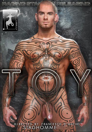Toy cover