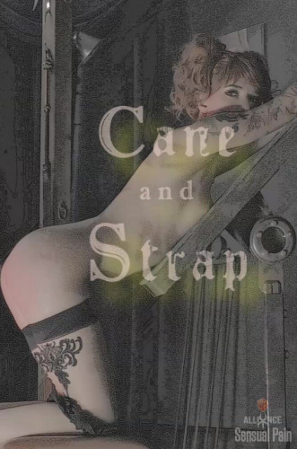 Cane and strap cover