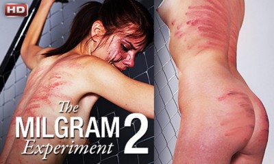 The Milgram Experiment 2 cover