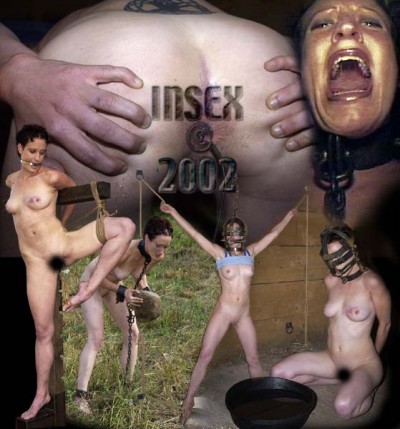 The Hole 1201 - InSex cover