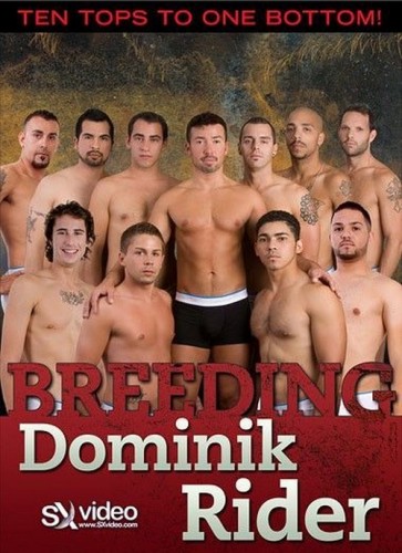 Breeding Dominik Rider cover