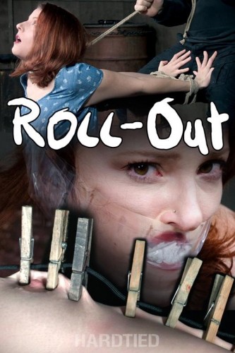 Roll-Out cover