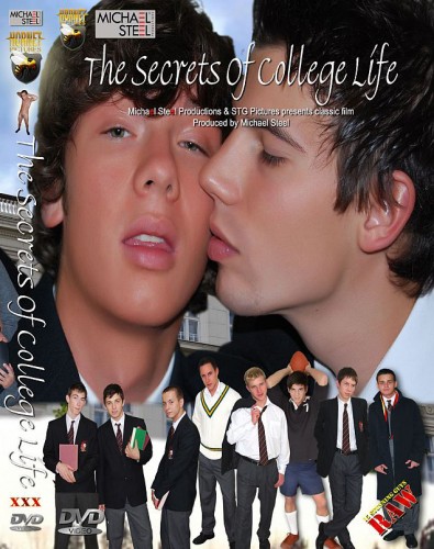 The Secrets Of College Life cover