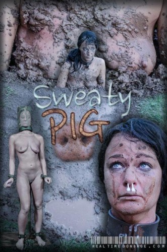 Sweaty Pig Part 2 cover