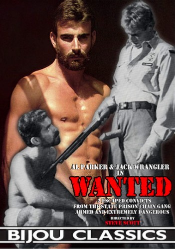 Wanted (1982) cover